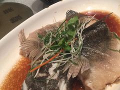 -骏莱海鲜鱼港(五角场店)