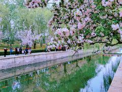 -元大都城垣遗址公园