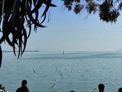 -滇池海埂公园