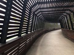 -昆山城市生态森林公园