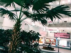 -沈阳师范大学-图书馆