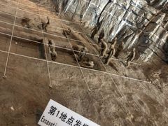 -北京周口店北京人遗址博物馆