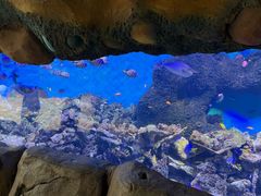 -横店影视城梦幻谷园区