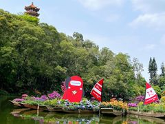 -深圳仙湖植物园