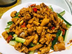 -椿记烧鹅(叠彩店)