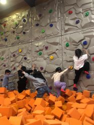 -泡泡米POPOME益智乐园(洪殿花园旗舰店)