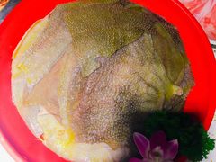 -二荆条·蜀鲜汇城市森林火锅