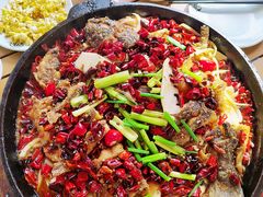 -老板恋上鱼(恒隆广场店)