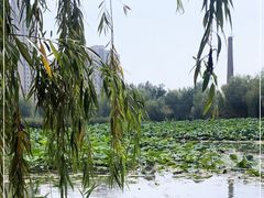 -前关湿地公园