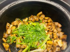 -邑家人·山水四合院