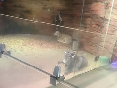 -正佳雨林生态植物园