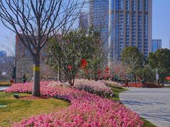 -北外滩滨江绿地