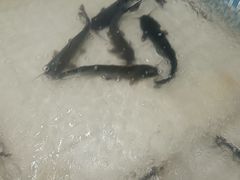 -锅老头海鲜铁锅炖
