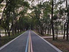 -同里国家湿地公园