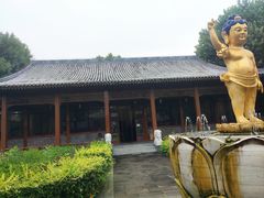 -白洋淀景区