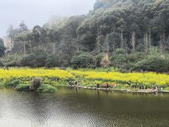 -乐山大佛风景名胜区乌尤寺南门-售票点