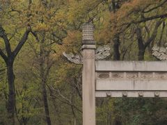 -灵谷景区