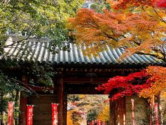 -醍醐寺