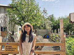 -水上乐园·欢乐世界