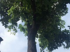 -清迈女子监狱马杀鸡(无分店)