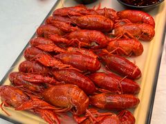 肥肥蒸虾-肥肥虾庄·金牌油焖大虾(沙湖店)