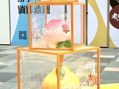 -HALO广场(梨园路店)