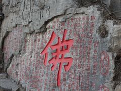 -抱犊崮国家森林公园