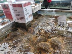 -盒马鲜生(大成店)