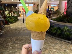 -Vola Gelato意大利手工冰淇淋(朝阳大悦城店)
