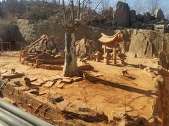 -石家庄市动物园