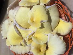 黄金菇-仙蘑洞