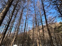 -秦岭风景区