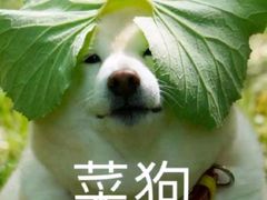 -白箱照相馆·外拍