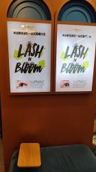 -Browhaus眉睫沙龙