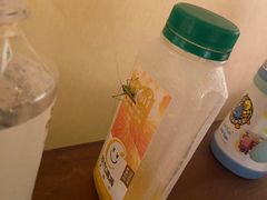 -北京山里寒舍度假酒店