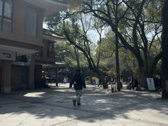 -灵顺寺