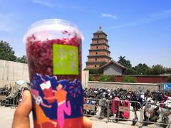 霸气杨梅-奈雪的茶(大悦城店)
