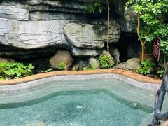 -海口观澜湖火山温泉谷