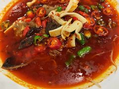 -双流老字号董蹄花(广场路店)