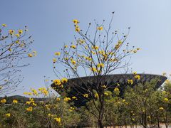 -中国移动南方基地