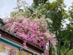 -深圳国际园林花卉博览园