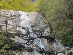 -青峰峡国家森林公园