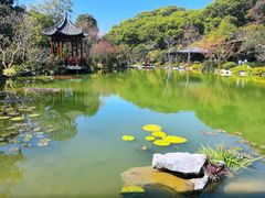 -云溪植物园