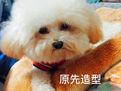 -八公叔叔宠物美容连锁(春申店)