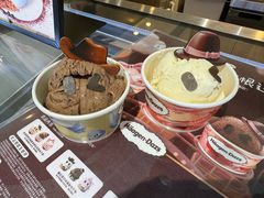 -哈根达斯(大洋百货店)