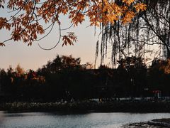 -西海子公园