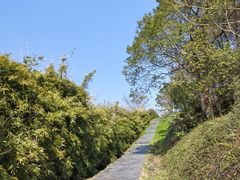-郑和公园