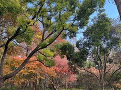 -上海滨江森林公园