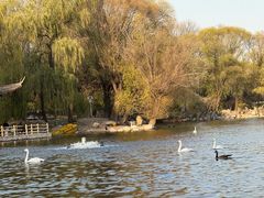 -石家庄市动物园