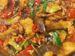 -61号餐吧(兴坪古镇漓江店)